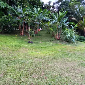 Villa Beauci-turlet, Goyave